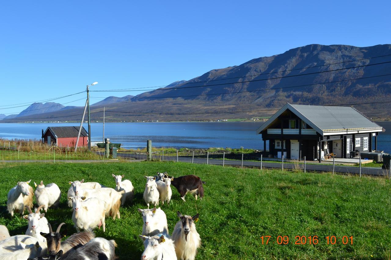 Lyngen Ski- Og Fiskecamp *