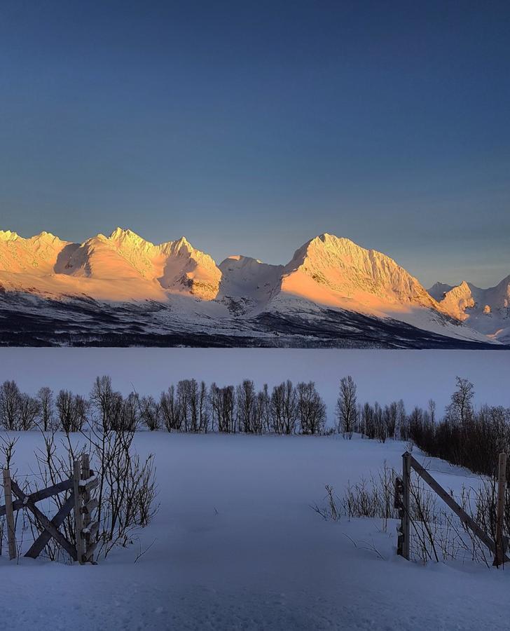 Lyngen Ski- Og Fiskecamp Lodge *