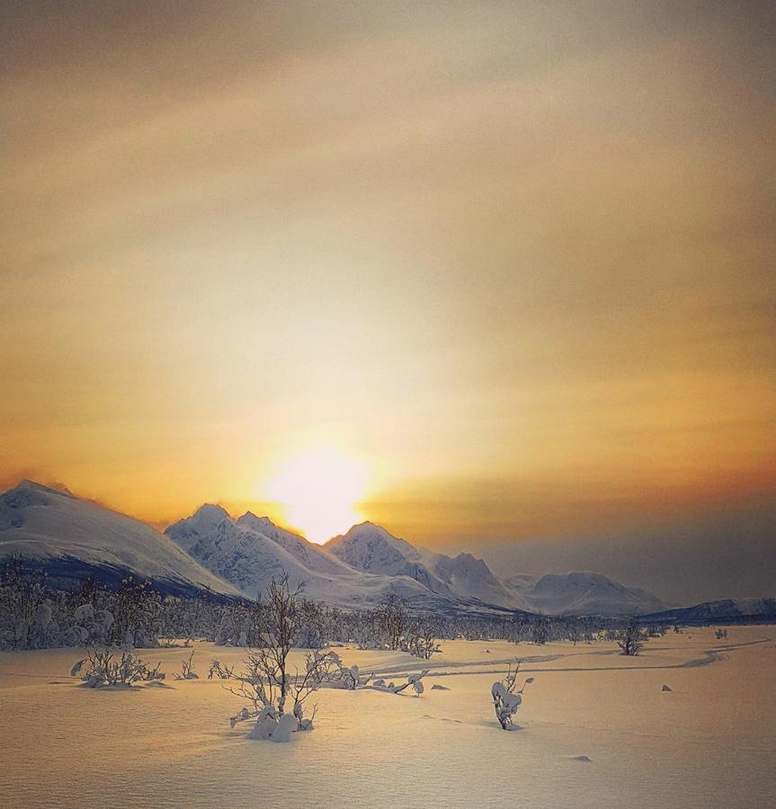 Lyngen Ski- Og Fiskecamp Lodge