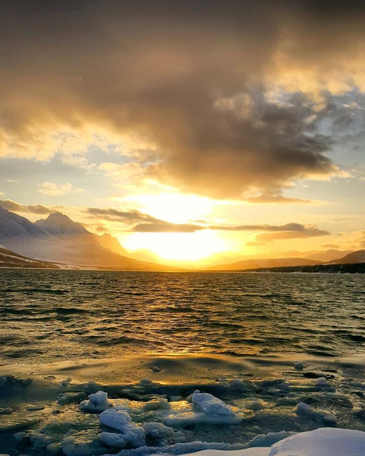 Lyngen Ski- Og Fiskecamp Lodge *