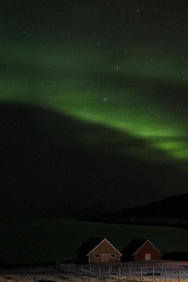 Lyngen Ski- Og Fiskecamp Lodge Lenangsoyra
