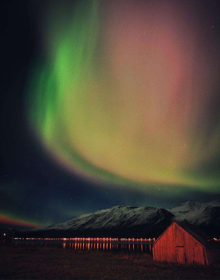 Lyngen Ski- Og Fiskecamp *